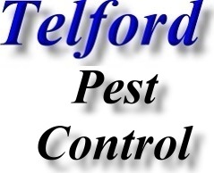 Telford pest & vermin control contact details