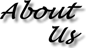 About Telford Websites